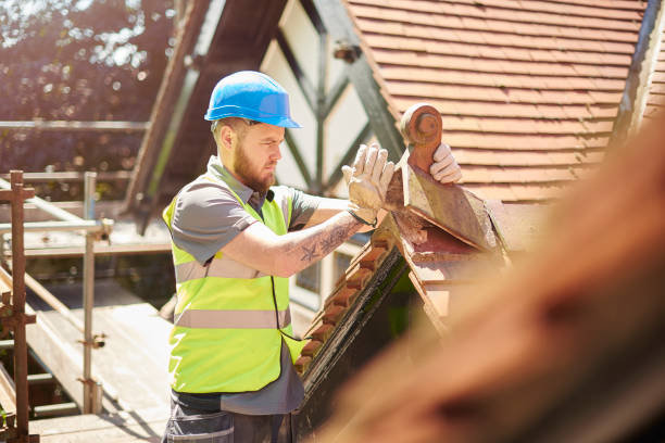 Roof Gutter Cleaning in Montgomery, AL